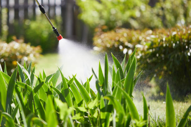 24/7 Emergency Ant Control experts in Buffalo, SC